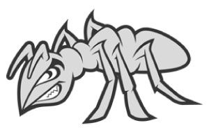 ANT